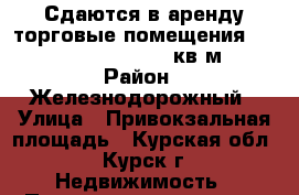 Сдаются в аренду торговые помещения 12, 15,5, 17, 18, 32 кв.м. › Район ­ Железнодорожный › Улица ­ Привокзальная площадь - Курская обл., Курск г. Недвижимость » Помещения аренда   . Курская обл.,Курск г.